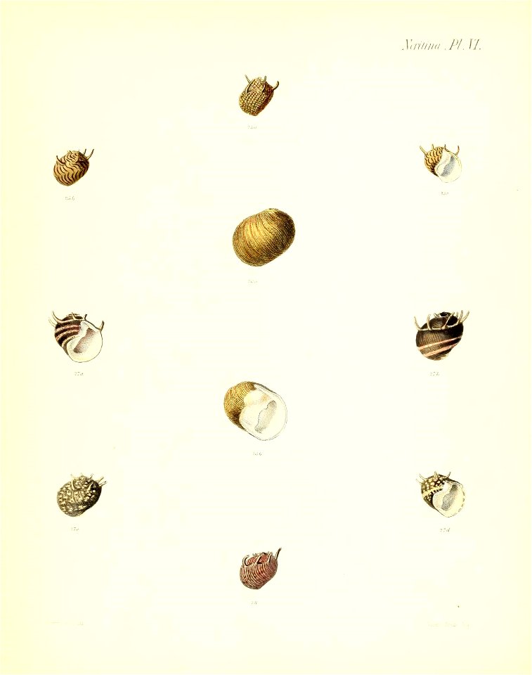 n107_w1150