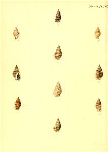n563_w1150