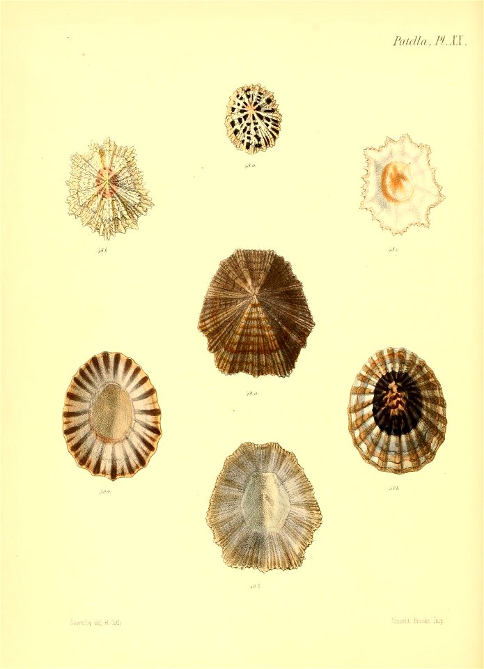 n439_w1150