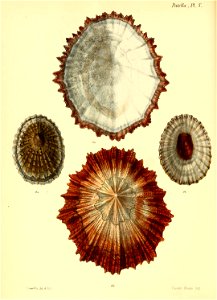 n379_w1150