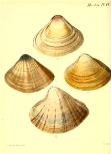 n179_w1150