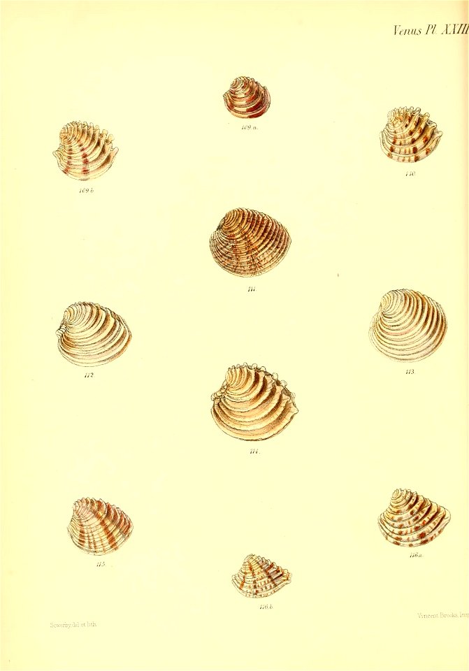 n405_w1150