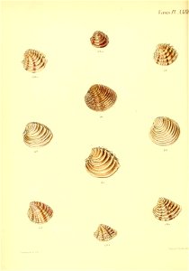 n405_w1150