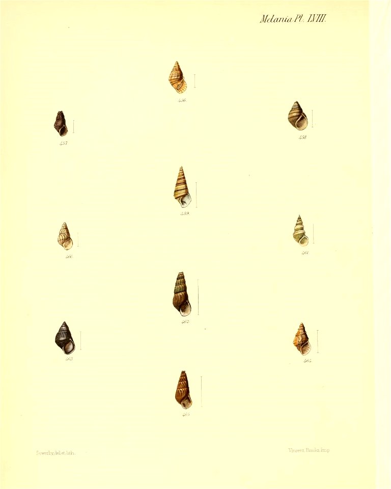 n431_w1150
