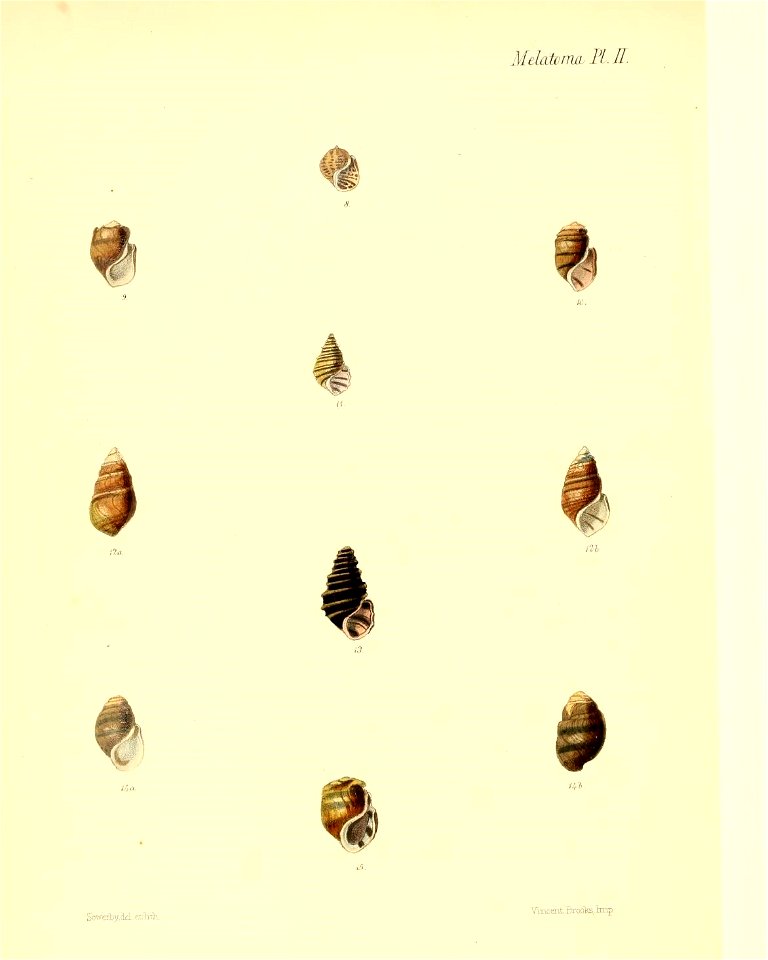 n507_w1150