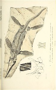 n52_w1150