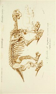 n122_w1150