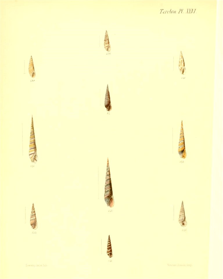 n155_w1150