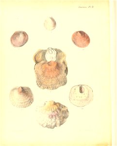 n519_w1150