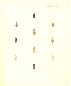 n317_w1150