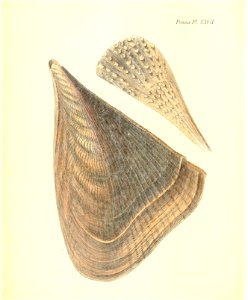 n115_w1150