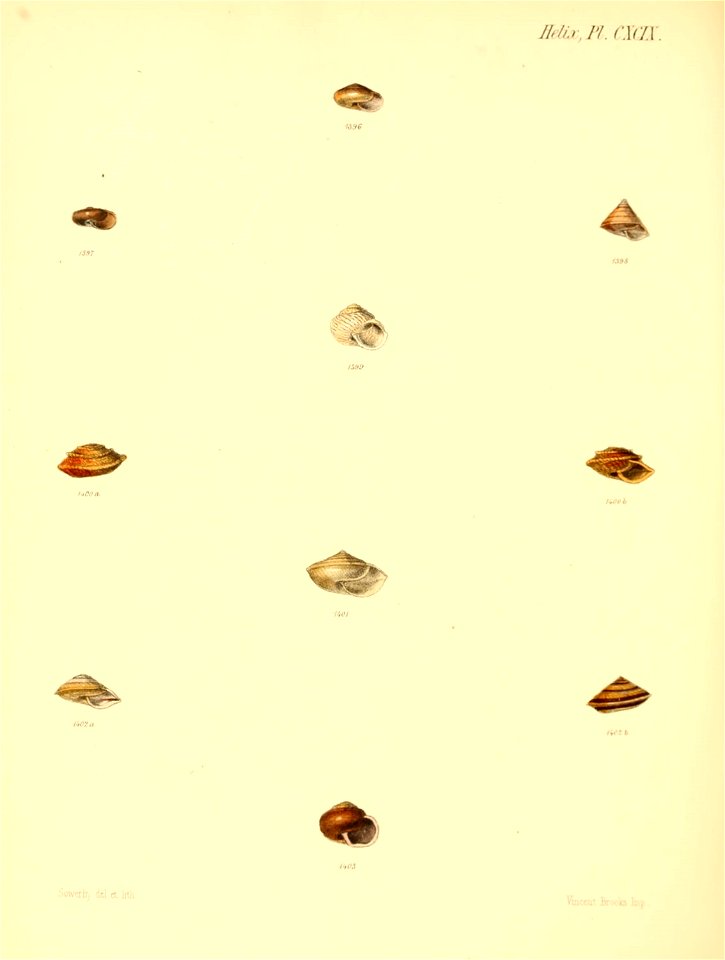 n831_w1150