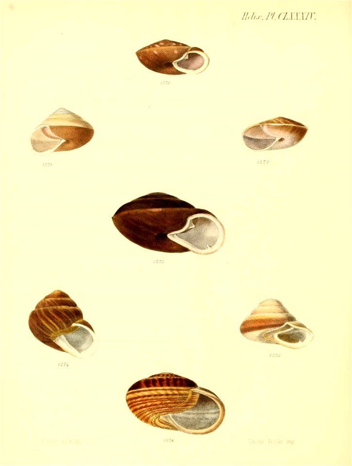 n771_w1150