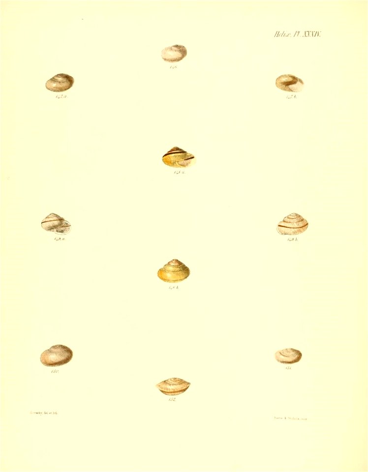 n143_w1150