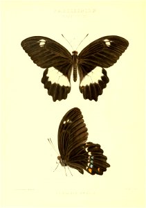 n67_w1150