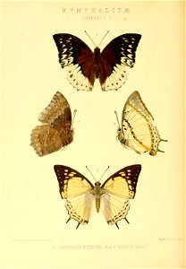 n357_w1150