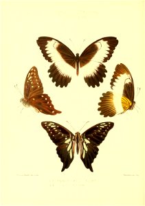 n143_w1150