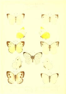 n246_w1150