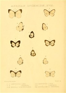 n153_w1150