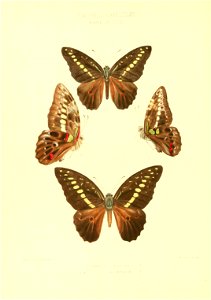 n139_w1150