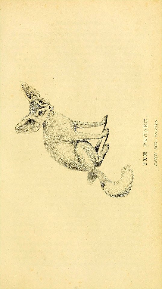 n442_w1150