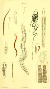 n652_w1150