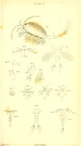 n634_w1150