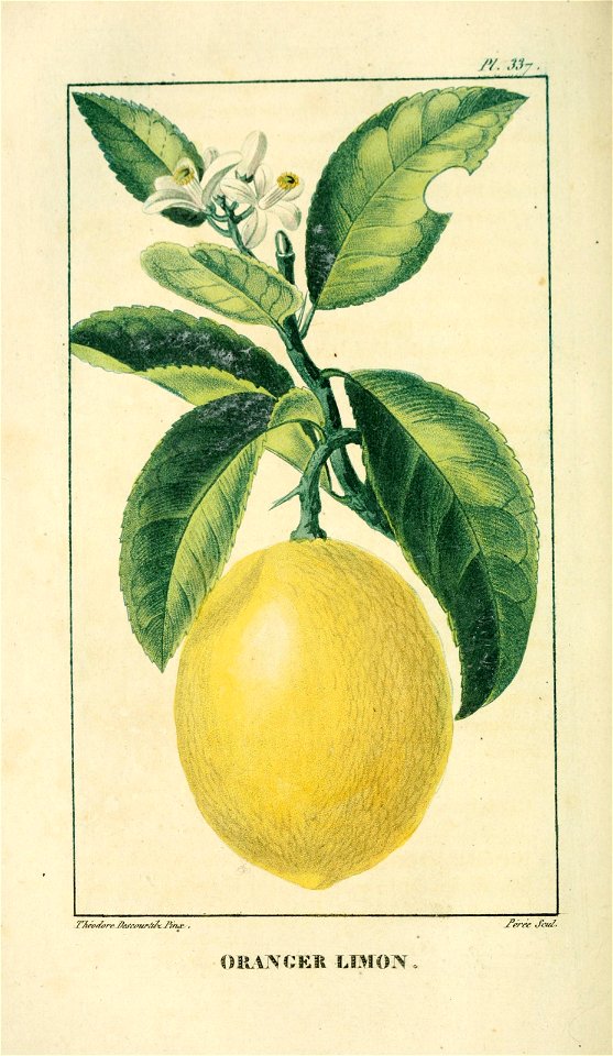 n195_w1150