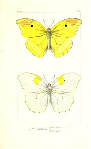 n178_w1150