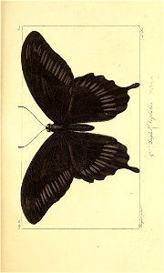 n52_w1150