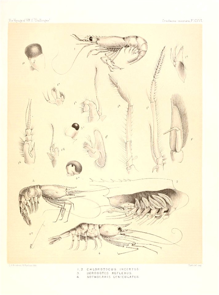 n498_w1150