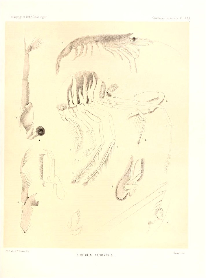 n318_w1150