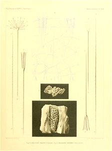 n378_w1150