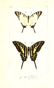 n98_w1150