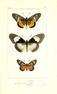 n212_w1150