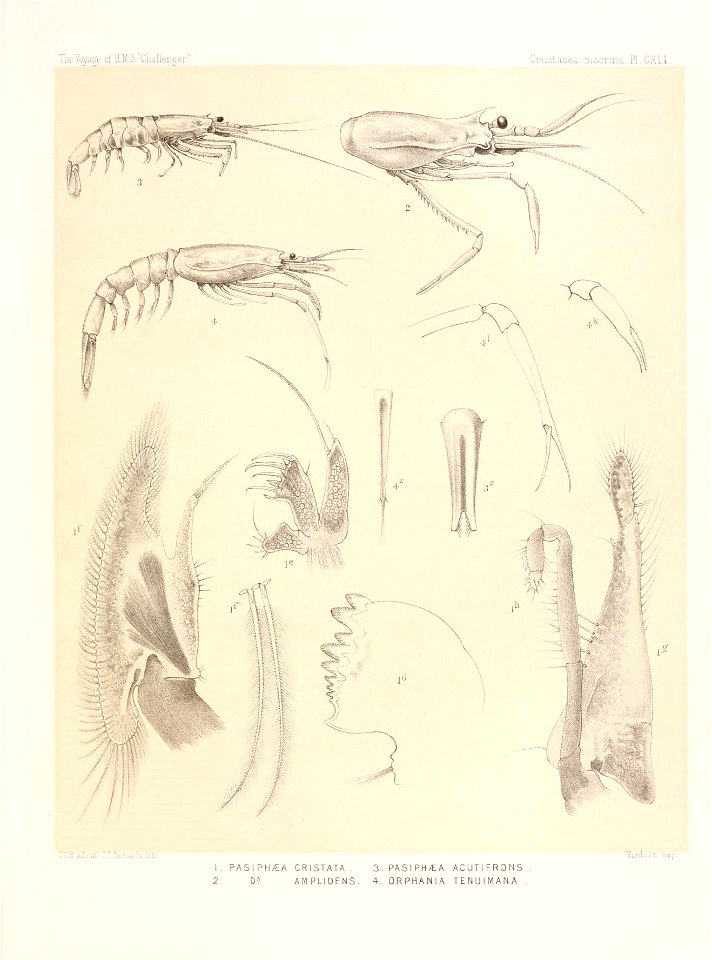 n598_w1150