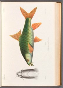 n46_w1150