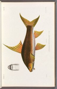 n12_w1150