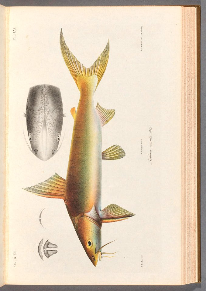 n122_w1150