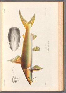 n122_w1150