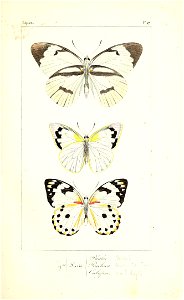 n116_w1150