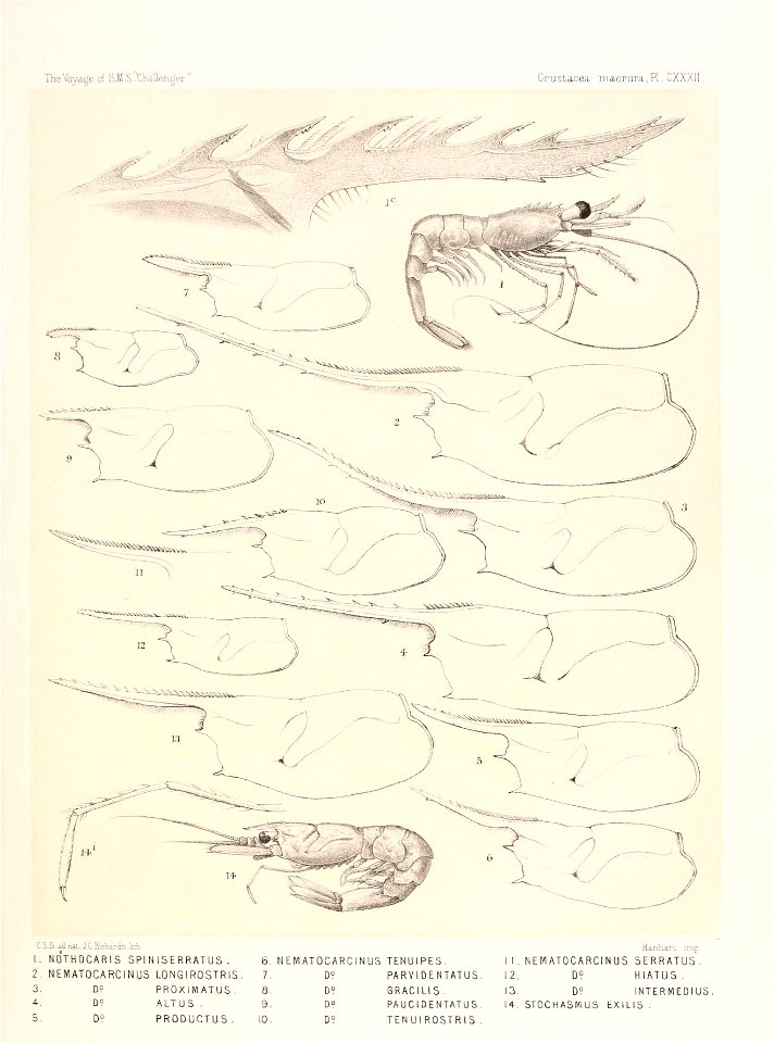 n562_w1150