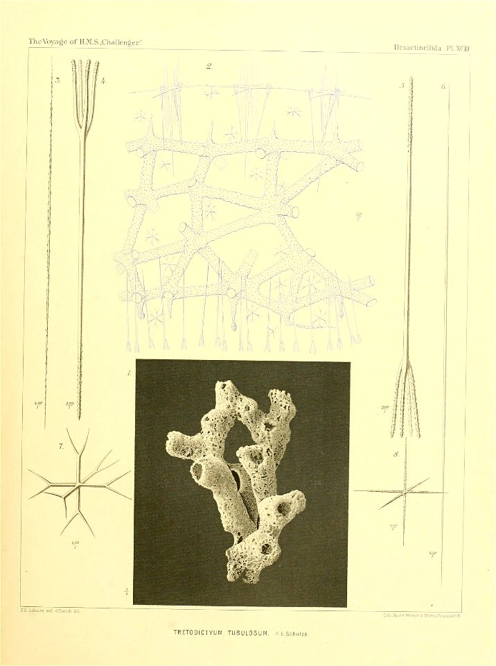 n382_w1150