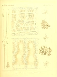 n322_w1150