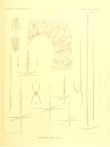n202_w1150