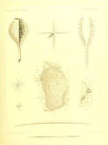 n258_w1150