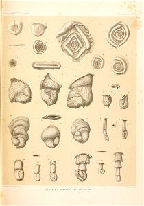 n56_w1150