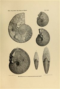 n498_w1150