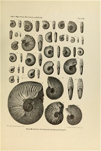 n378_w1150