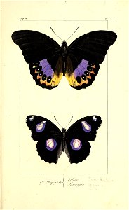 n282_w1150